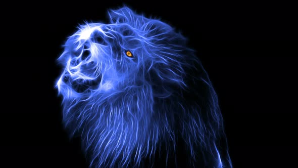 Lion Ghost 4K