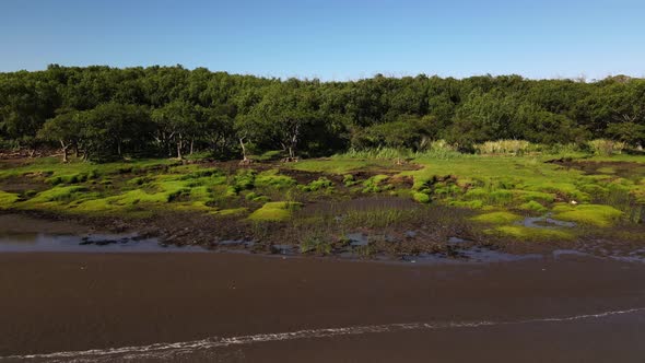 Slow rotating aerial of swamp and sand banks by Rio de la Plata