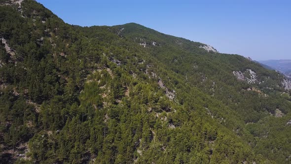Aerial view of sunny summer day and green mountain slope