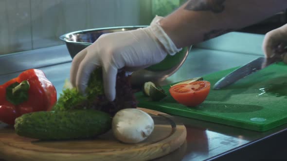 Cropped Shot of a Chef Preparing Salad at the Kitchen