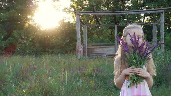 Girl Collects Flowers Of Salvia At The Sunset Time 7