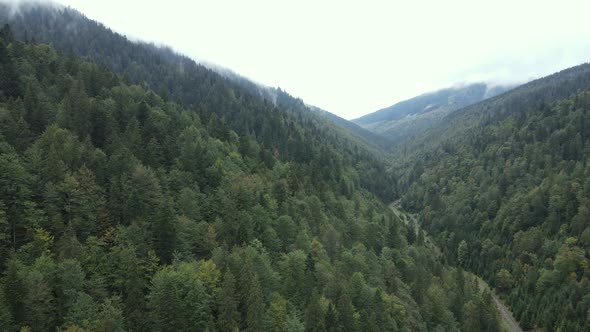 Aerial View of the Carpathian Mountains in Autumn. Ukraine