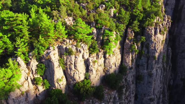 Dense Magical Forest at the Canyon Top Huge Spectacular Cliff Rocks Epic Aerial Drone Flight Over