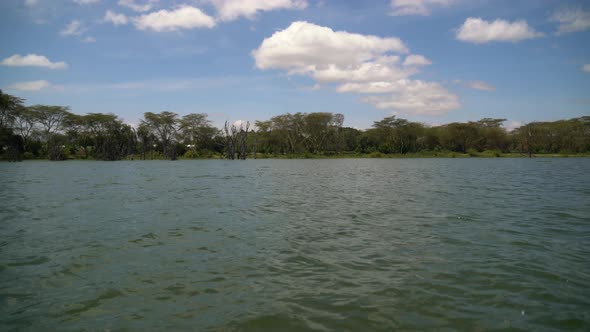 Lake Naivasha shore