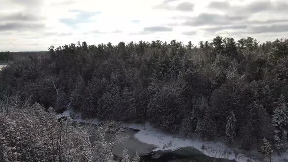 aerial fresh snow covered trees by river