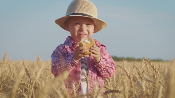 Happy Little Toddler in Hat Eats Bread While Standing in Wheat Field at Sunset. Summer Country Life