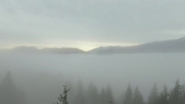 Aerial View of Canadian Mountain Landscape Covered in Fog Over Harrison Lake