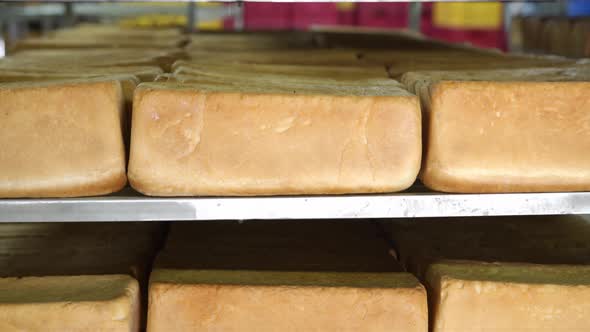 Production of Bakery Products Close Up, Freshly Baked Ruddy Bread Close Up, Lying on the Shelves 