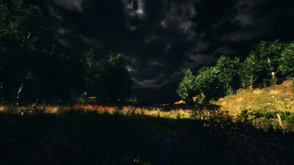 Thunderstorm Clouds with Lightning in Green Meadow