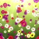 Spring Flowers Falling - VideoHive Item for Sale
