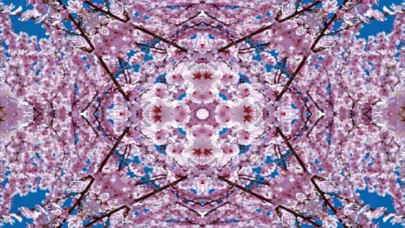 Hypnotic kaleidoscope,Abstract motion graphics background.