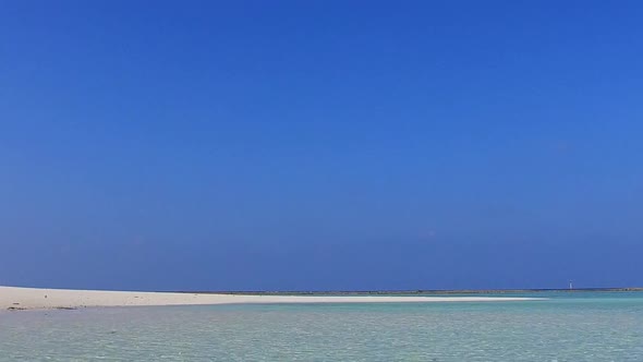 Copy space sky of resort beach wildlife by blue ocean and sand background near surf