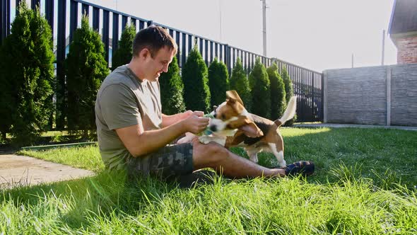 Man Plays with His Beagle Dog Outdoors and Treats Her Pet with a Treat