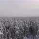Aerial view of a frozen forest with snow covered trees at winter. 4K - VideoHive Item for Sale
