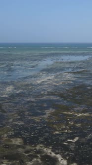 Tanzania  Vertical Video of Low Tide in the Ocean Near the Coast of Zanzibar Slow Motion