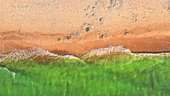 Top down view of summer beach by Baltic Sea, Poland