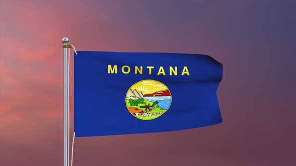 Montana Flag 4k