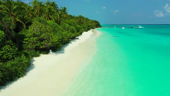 Aerial seascape of tranquil bay beach wildlife by blue sea with white sandy background of a dayout b