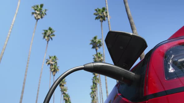 Women's Hand Unplugging Charging Cord in Electric Vehicle at Palms Background