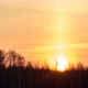 The Sun Rises on a Background of Trees - VideoHive Item for Sale