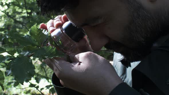 Concentrated Male Botanist Using Handheld Loupe Magnifier On Leaf. Close Up, Static Shot