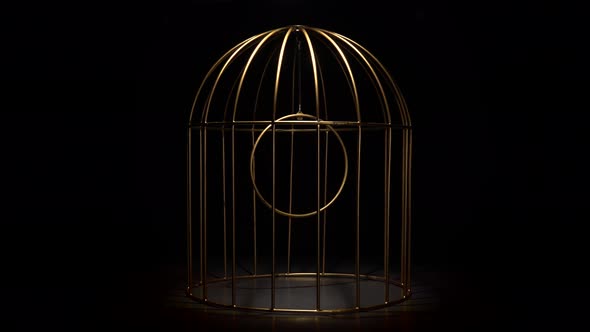 Rotating Design in the Form Gold Cage of the in a Black Background