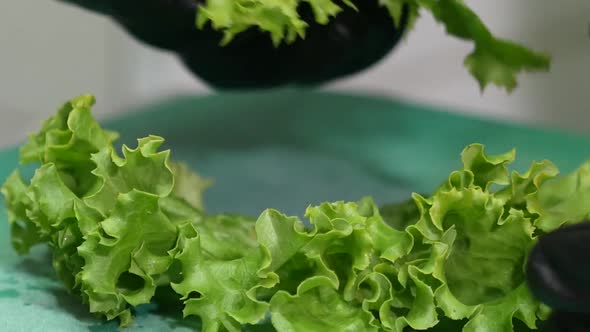 Close-up of a gloved hand plating lettuce as a garnish for presentation before serving a main course