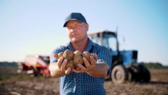 Potato Harvesting