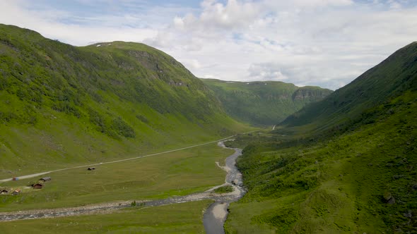 Picturesque nature scenery as single road runs down verdant valley; drone view