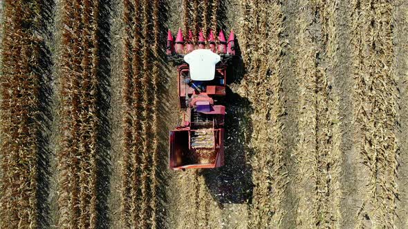 Aerial Top View