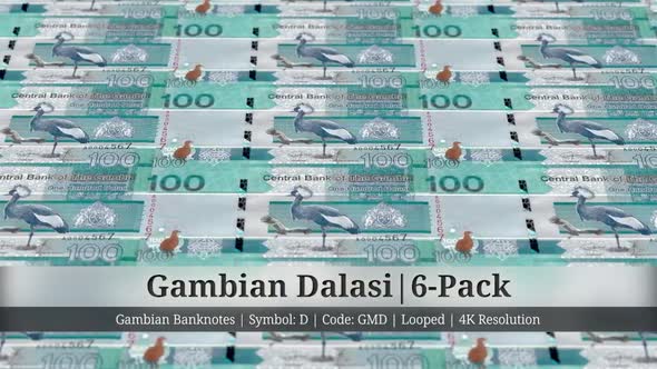 Gambian Dalasi | Gambia Currency - 6 Pack | 4K Resolution | Looped