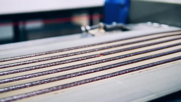 Lines of Candy Paste Moving Along the Factory Belt