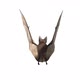 Flying Bat - VideoHive Item for Sale
