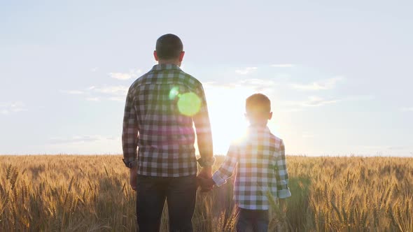 Father and son watch the sunset in a wheat field. The family business of agronomy. Agribusiness.