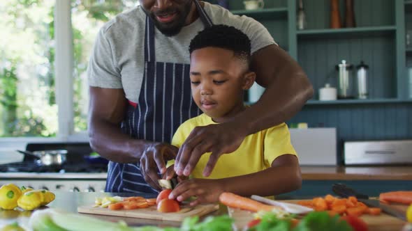 African american father and son in kitchen wearing aprons and preparing dinner together