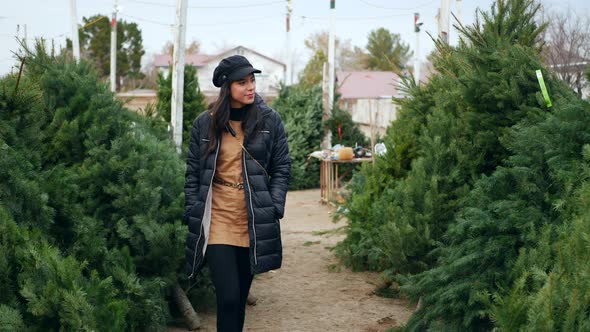 A beautiful woman in a happy holiday spirit smiling while shopping for festive douglas fir Christmas