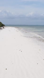 Tanzania  Vertical Video of Low Tide in the Ocean Near the Coast of Zanzibar Slow Motion