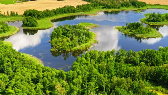 Aerial view of blue lake and green forest in summer