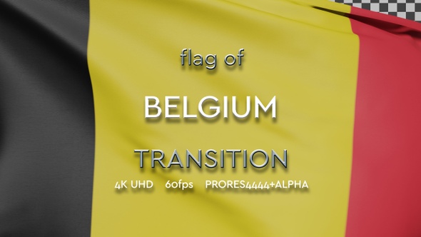 Flag of Belgium Transition | UHD | 60fps