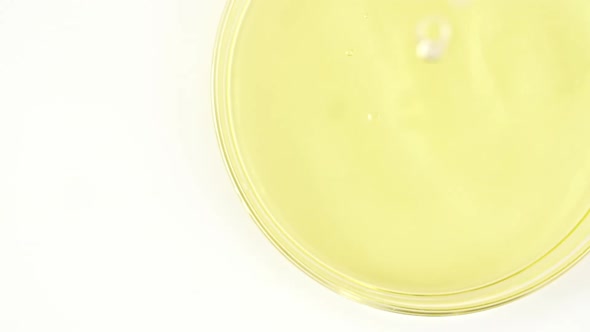 Transparent Yellow Cosmetic Liquid Dripping in a Glass Bowl of Petri