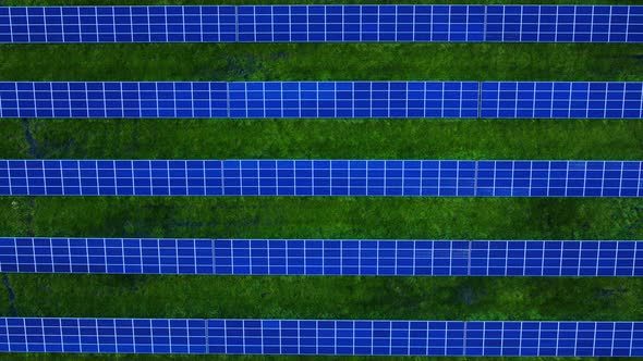 Top View Blue Solar Panels Park