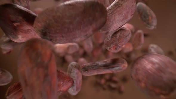 Super Slow Motion Detail Shot of Chocolate Beans Flying Towards Camera at 1000Fps