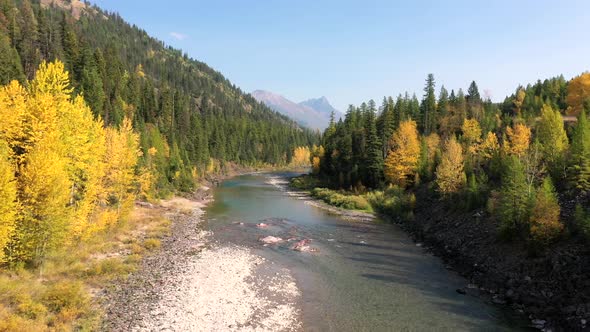 Narrow And Shallow River Flowing At The Center Of Lush Autumn Foliage in glacier national park, mont