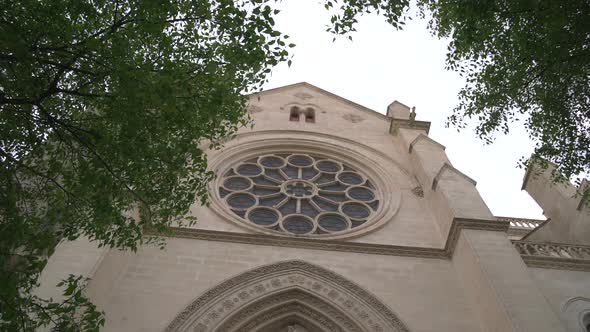 Rose window seen behind branches