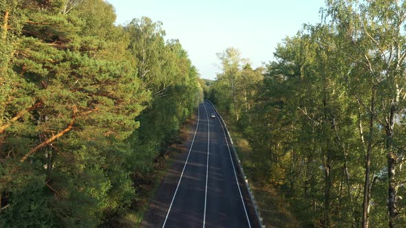 Aerial View From Drone on Asphalt Road at the Forest