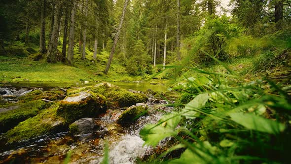 Stream Flowing Down A Stony Path