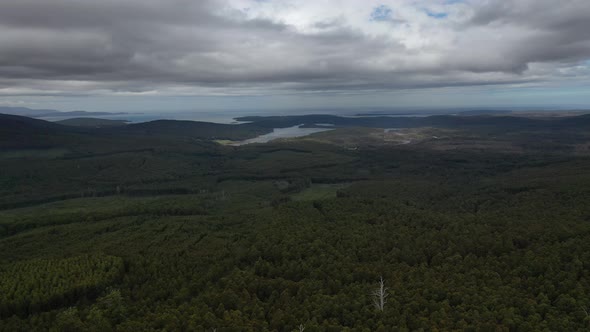 Hastings Caves State Reserve, Hastings, Tasmania, Australia 4K Aerial Drone