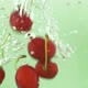 delicious red cherry splashing in the water - VideoHive Item for Sale