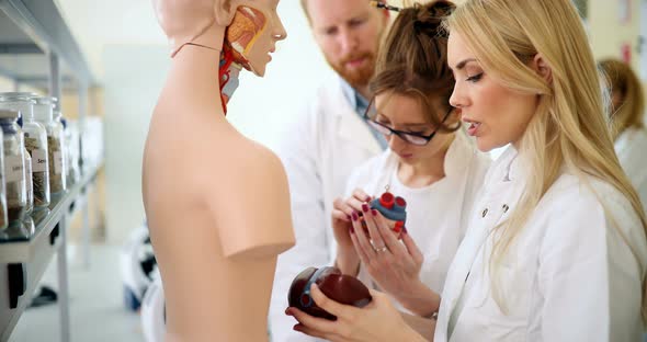 Students of Medicine Examining Anatomical Model in Classroom