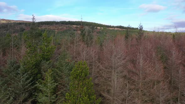 Flying Next To Forest Close To the Town Glenties in County Donegal - Ireland